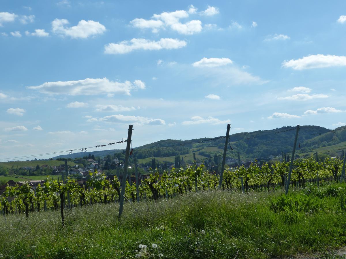 Gaestehaus Annel Niederhorbach Esterno foto