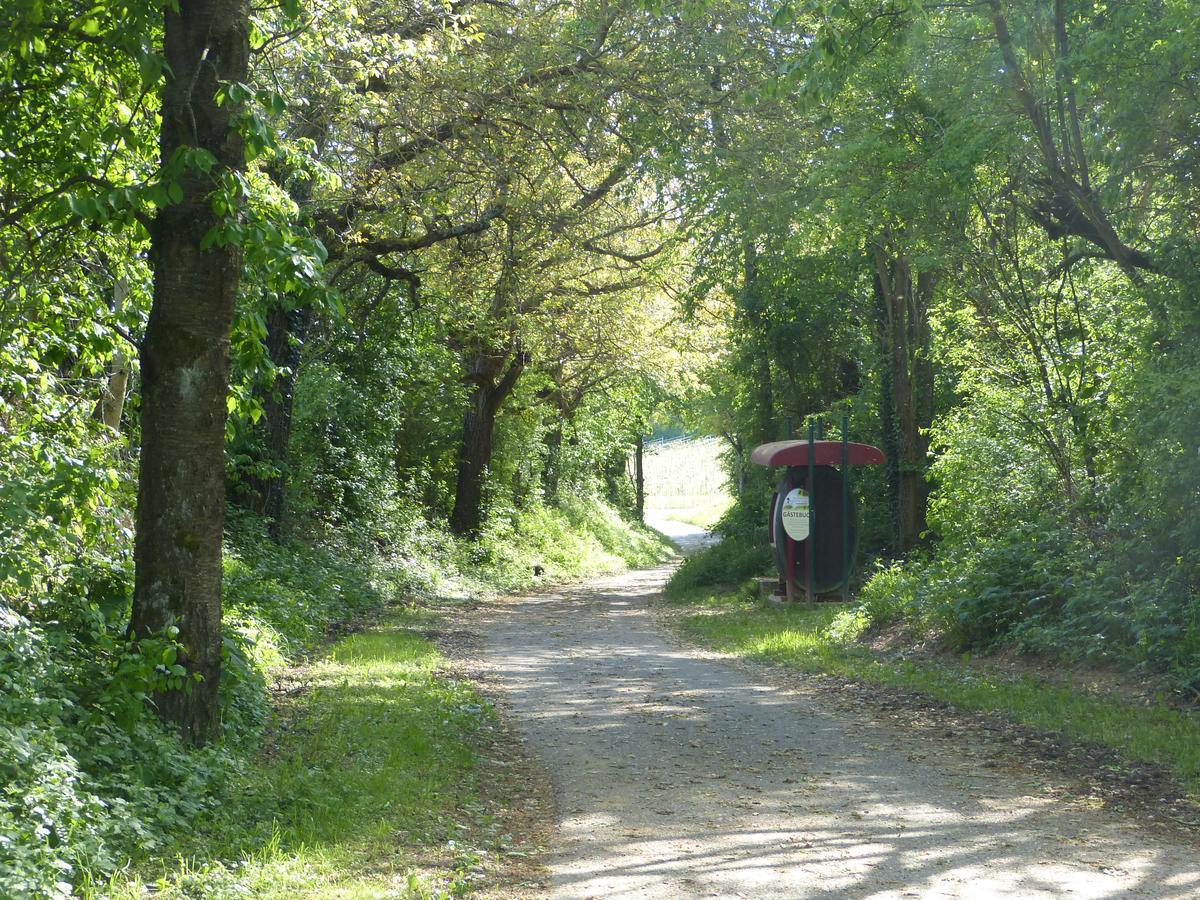 Gaestehaus Annel Niederhorbach Esterno foto