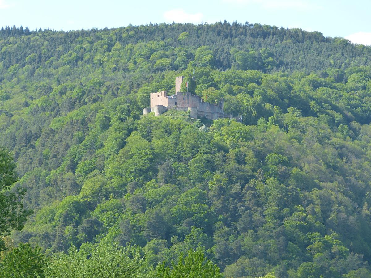 Gaestehaus Annel Niederhorbach Esterno foto
